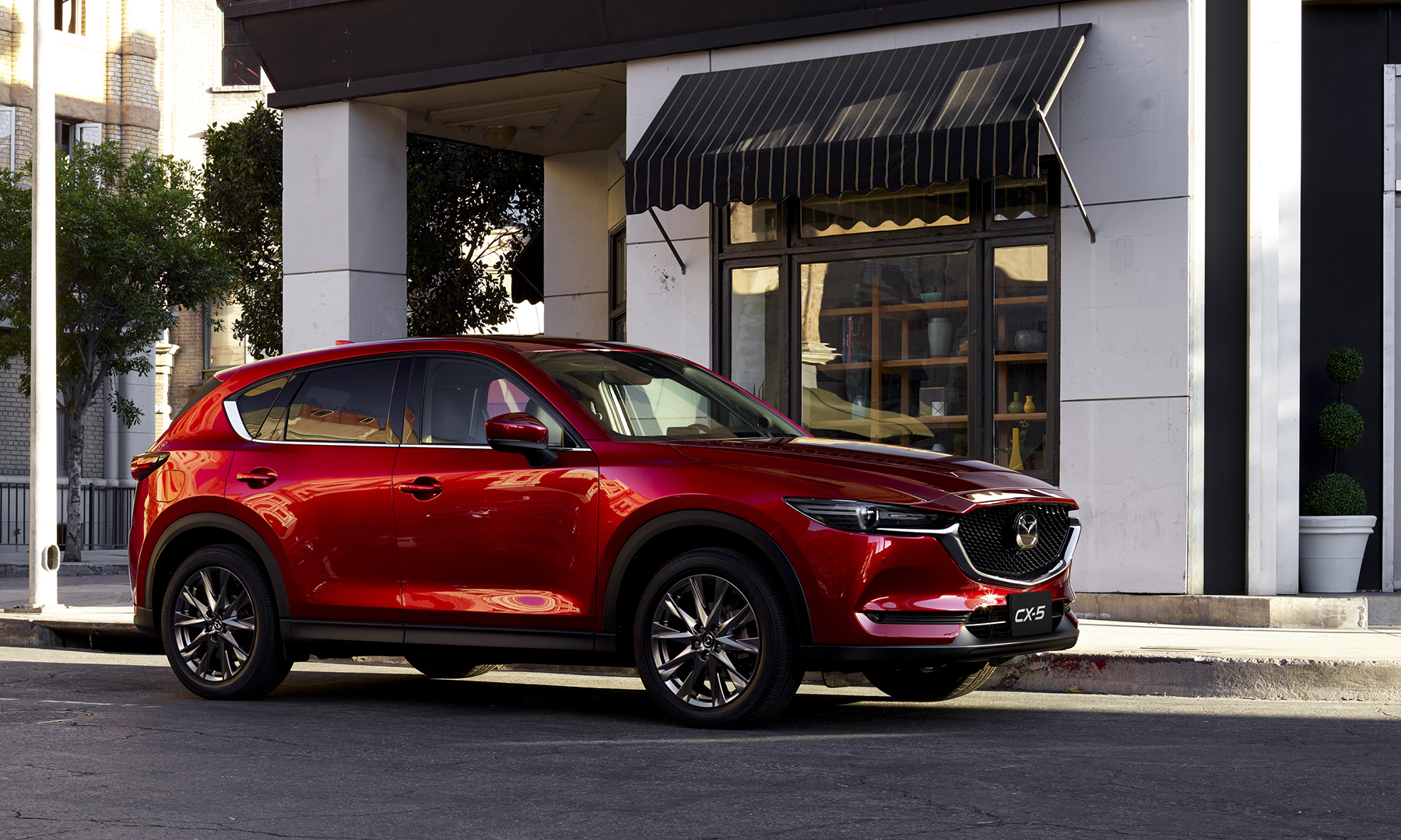 CX 5
