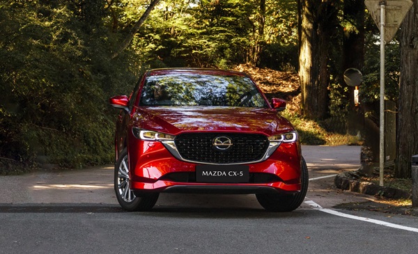 Soul Red Crystal Thumbnail